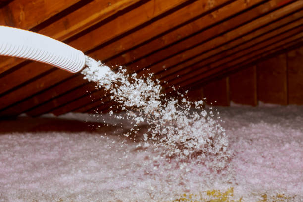Best Cellulose Insulation  in Franklin, NH